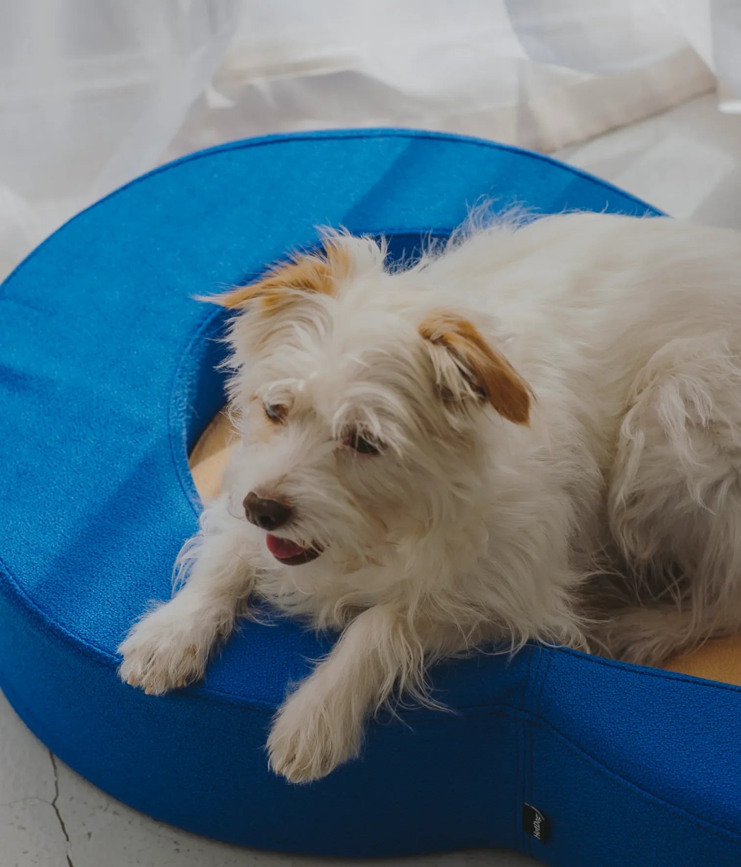 Viscoelastic bed blue and beige