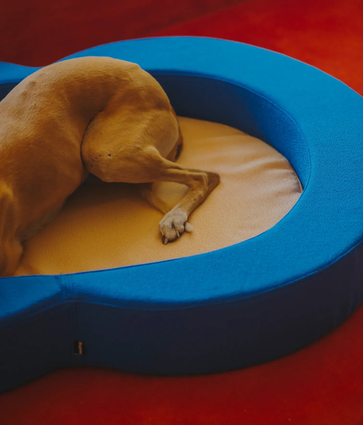 Viscoelastic bed blue and beige