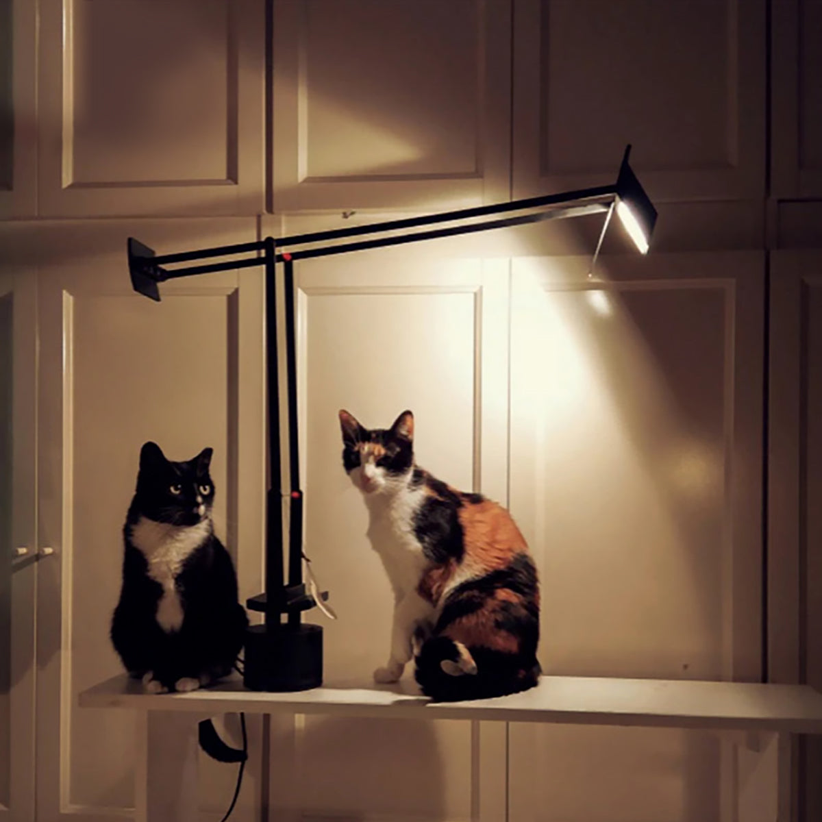 Industrial Crane Table Lamp – Adjustable Danish Metal Light