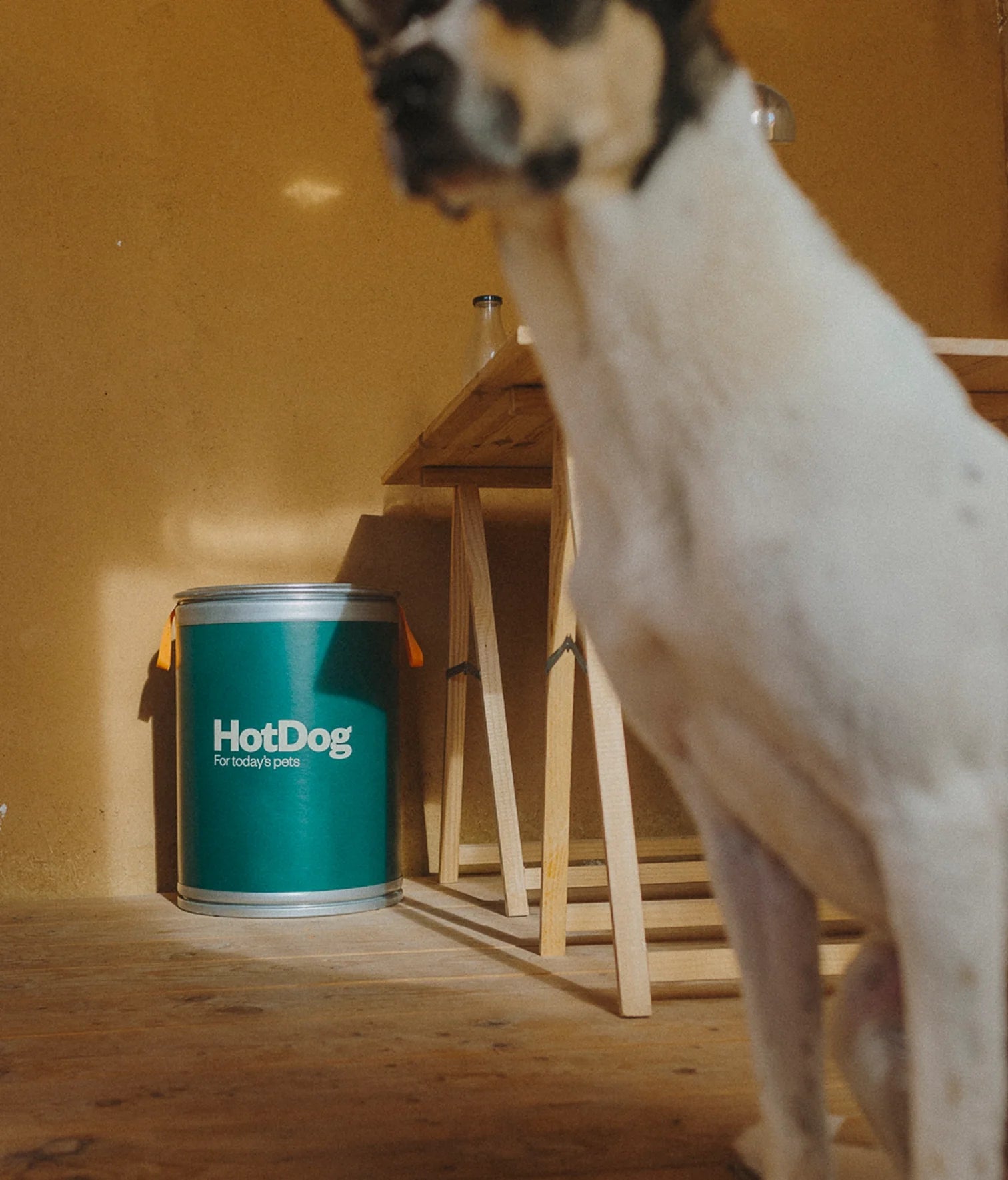 Food canister