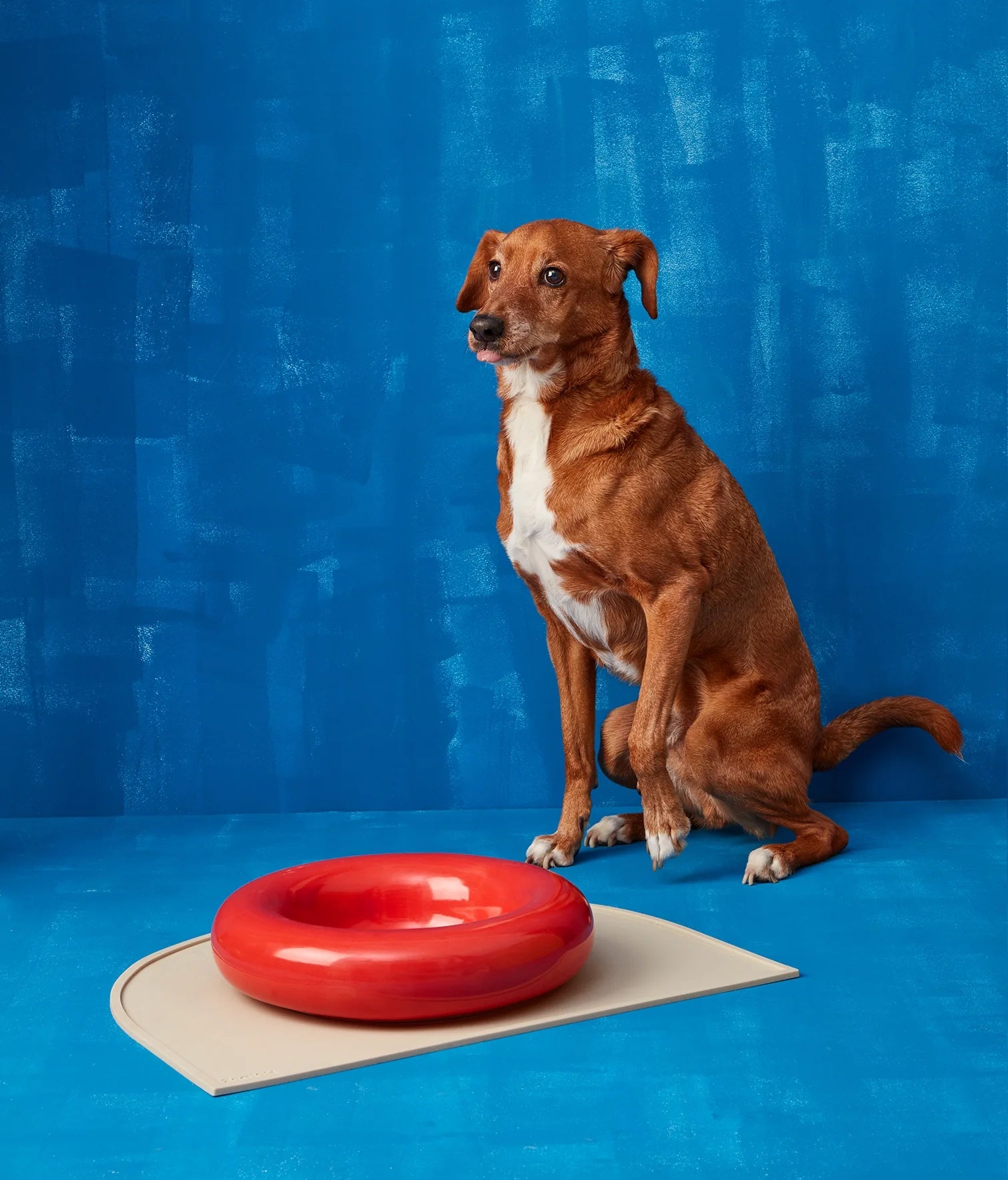 Red ceramic bowl