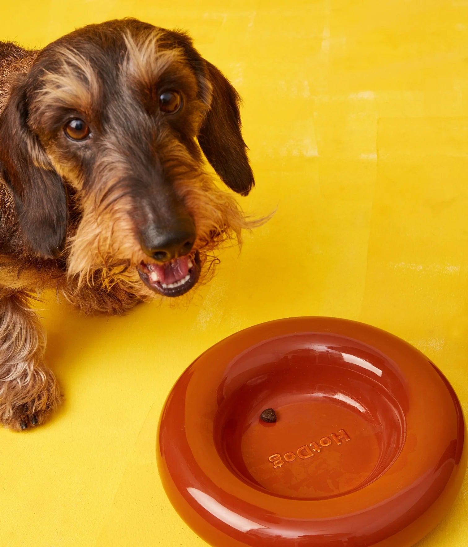 Brown ceramic bowl