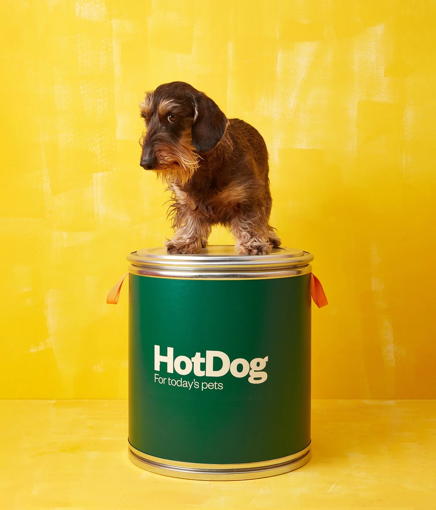 Food canister