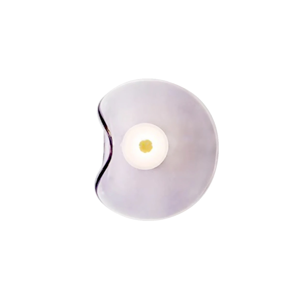 Minimalist Glass Wall Lamp - Bent Glass Fixture, LED Ambient Light