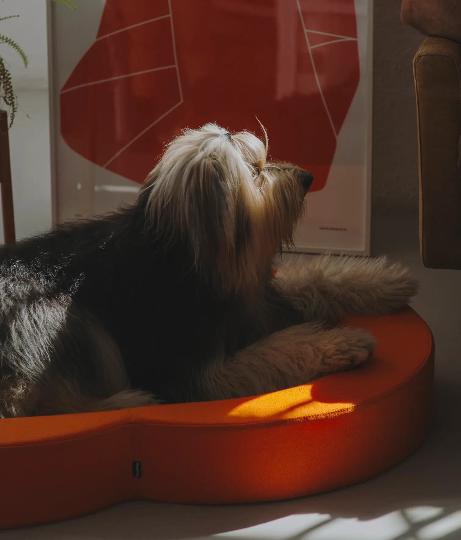 Viscoelastic bed orange and green