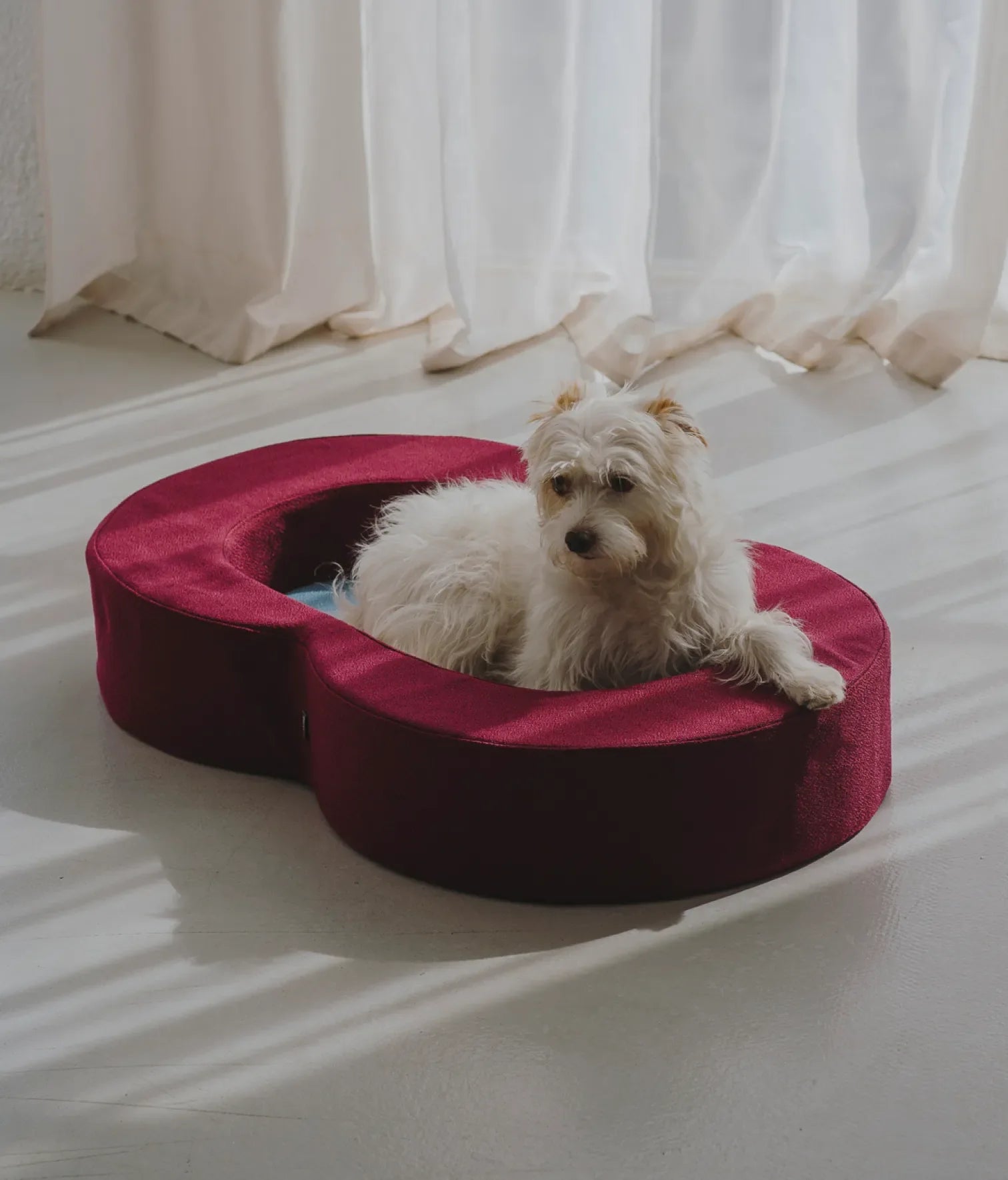 Viscoelastic bed maroon and blue