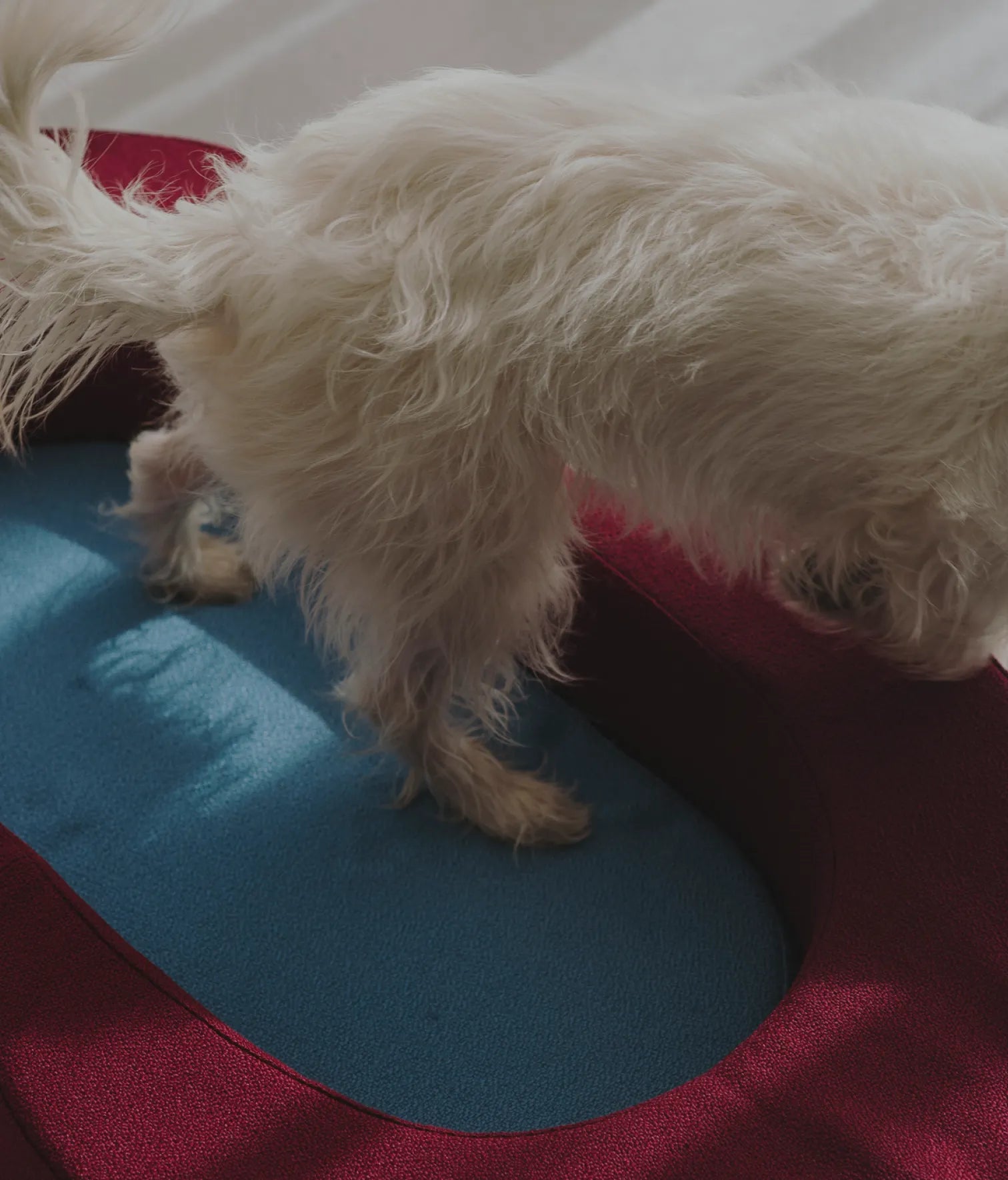 Viscoelastic bed maroon and blue