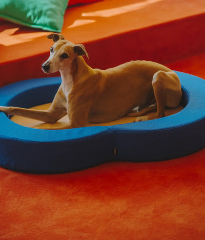 Viscoelastic bed blue and beige