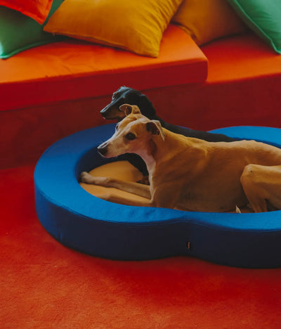 Viscoelastic bed blue and beige