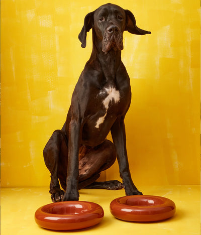 Brown ceramic bowl