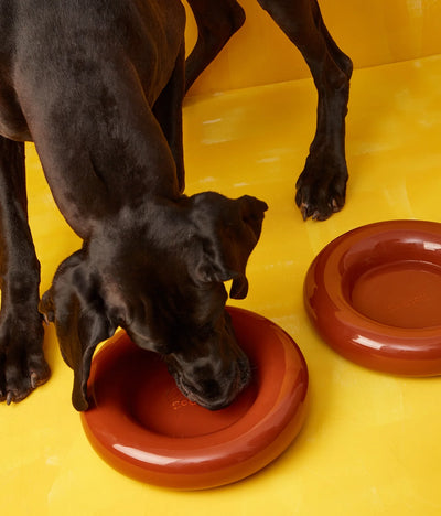 Brown ceramic bowl