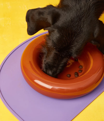 Brown ceramic bowl