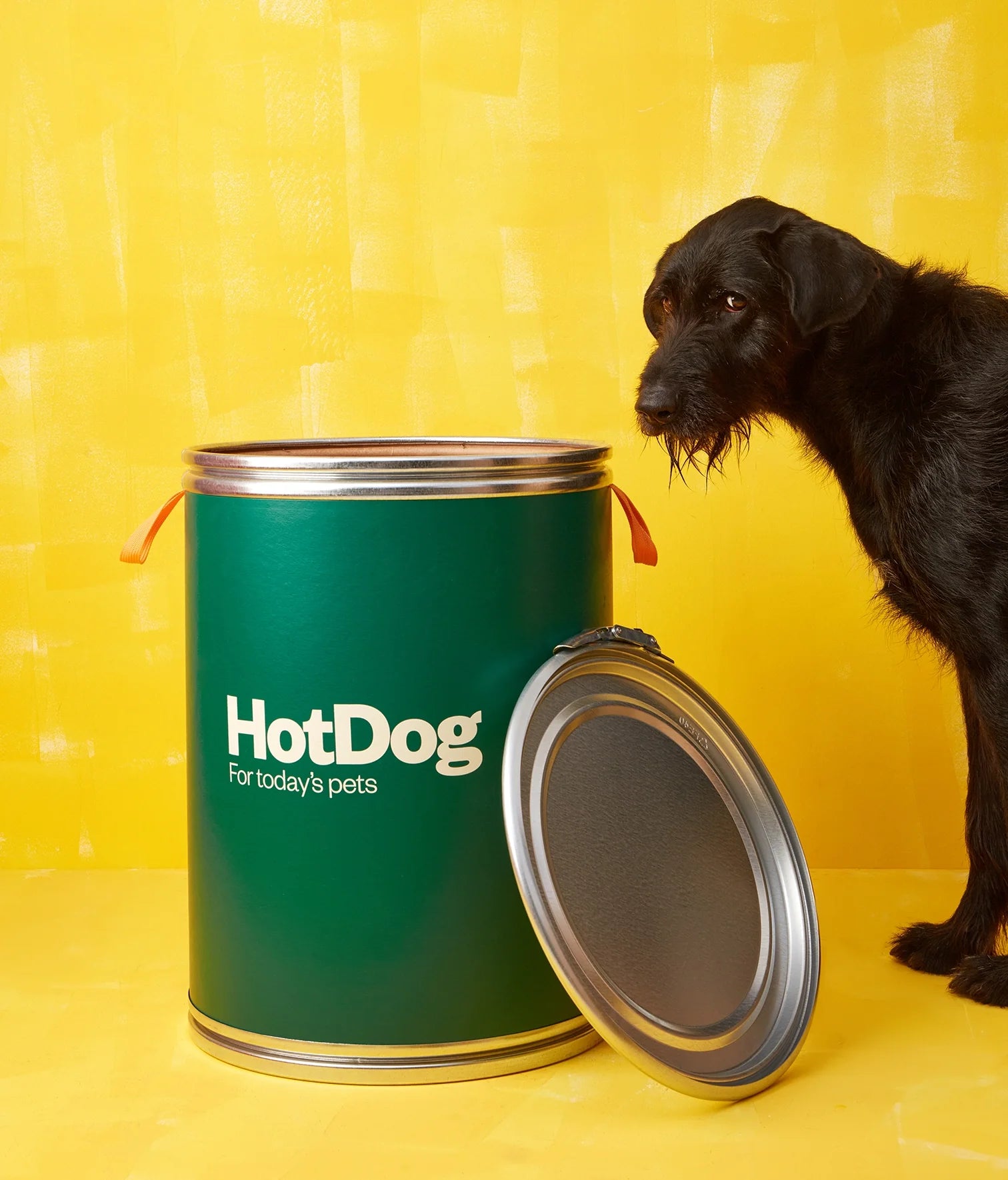 Food canister
