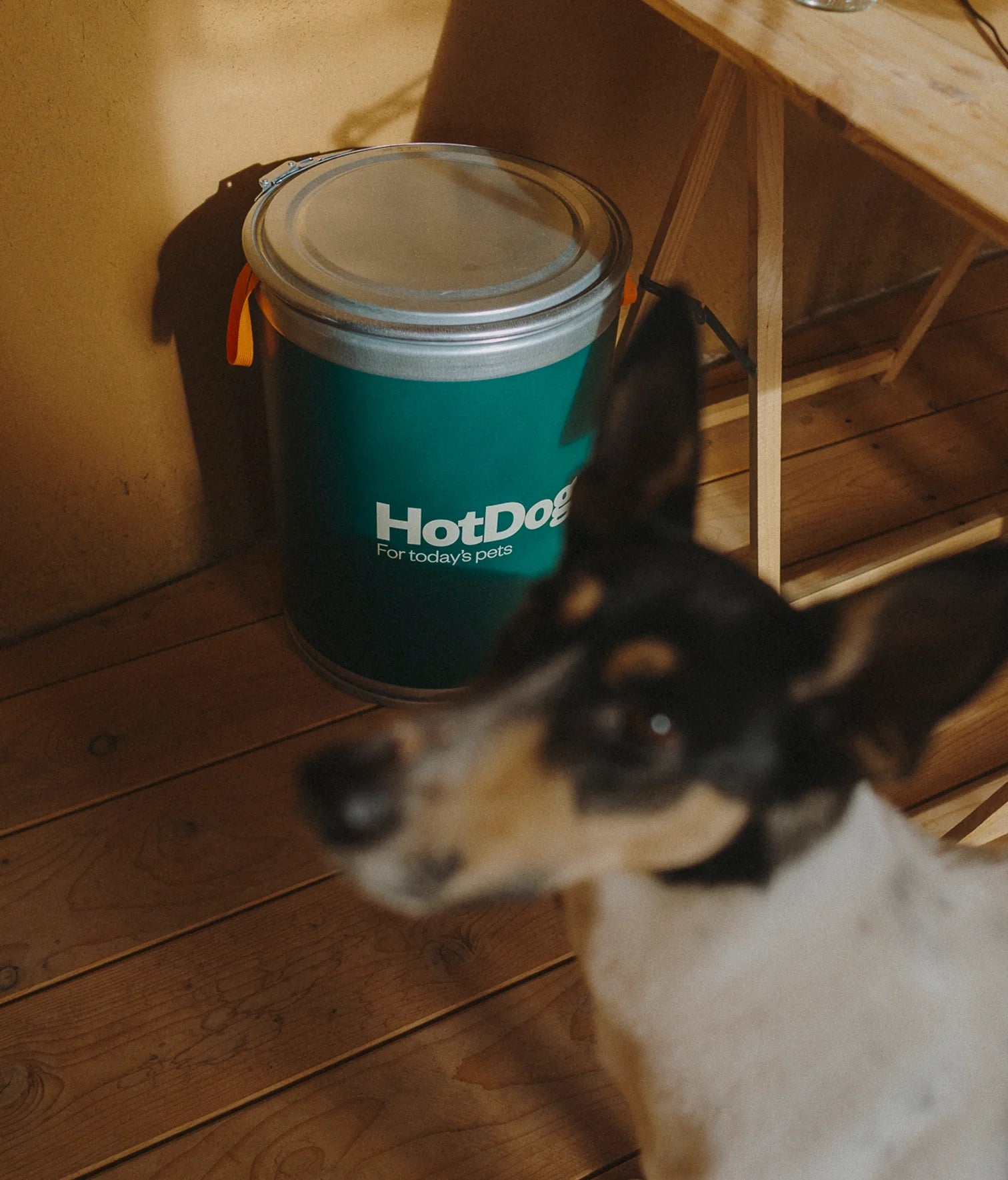 Food canister