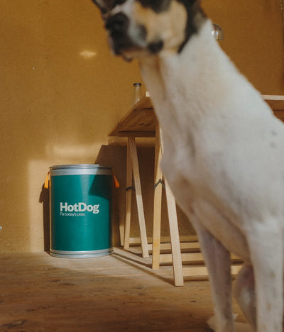 Food canister