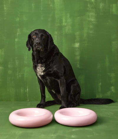 Pink ceramic bowl