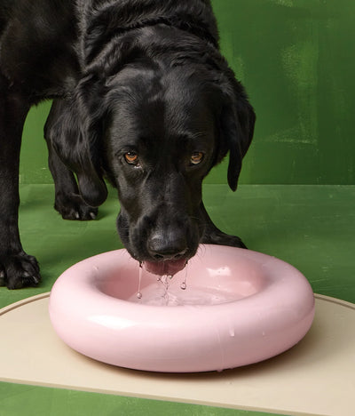 Pink ceramic bowl