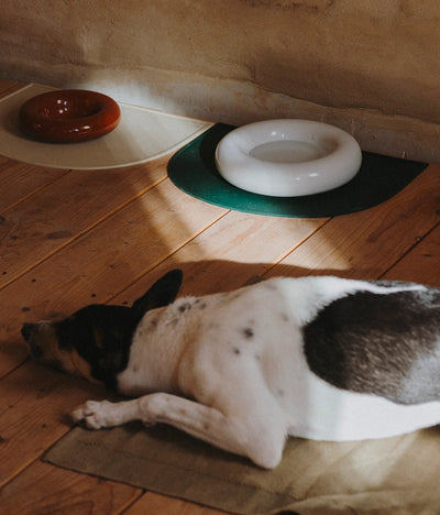 White ceramic bowl