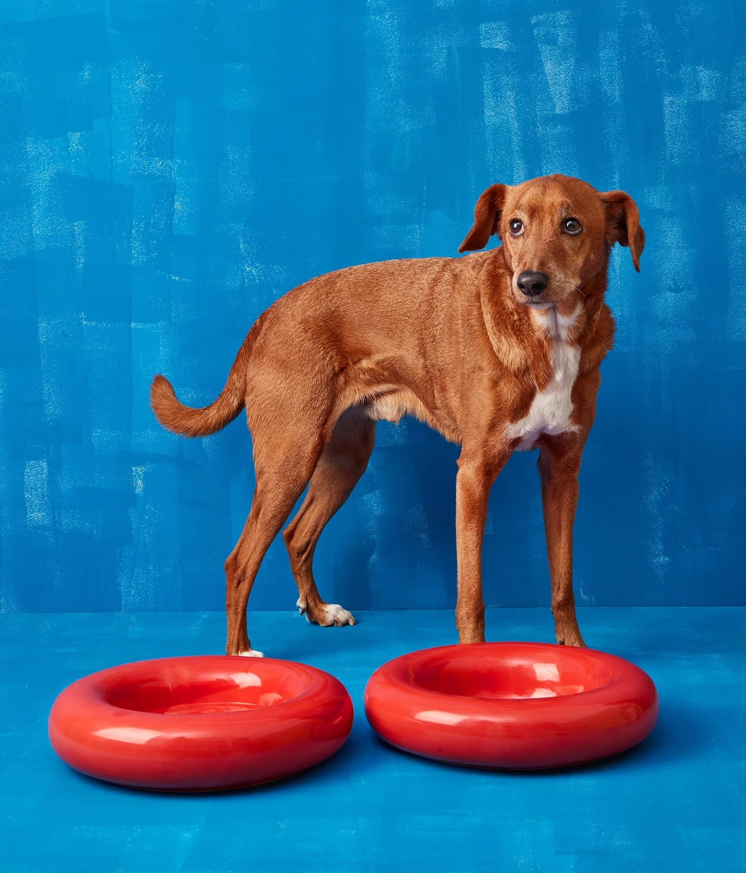 Red ceramic bowl