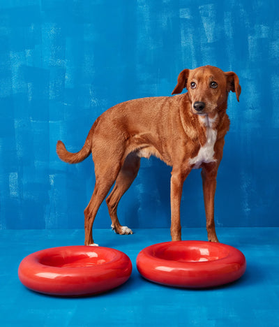 Red ceramic bowl