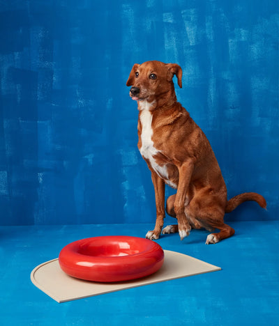 Red ceramic bowl