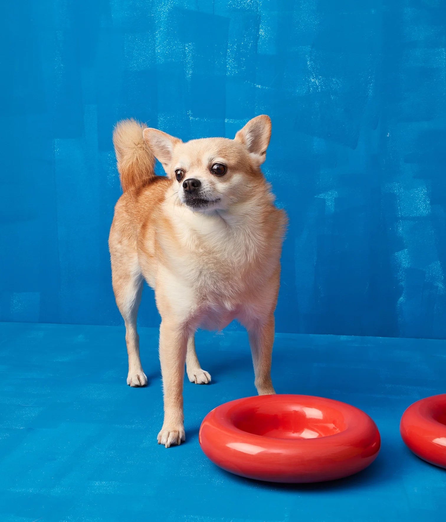 Red ceramic bowl
