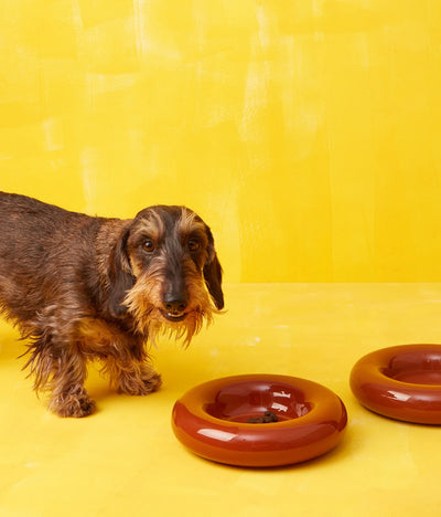 Brown ceramic bowl