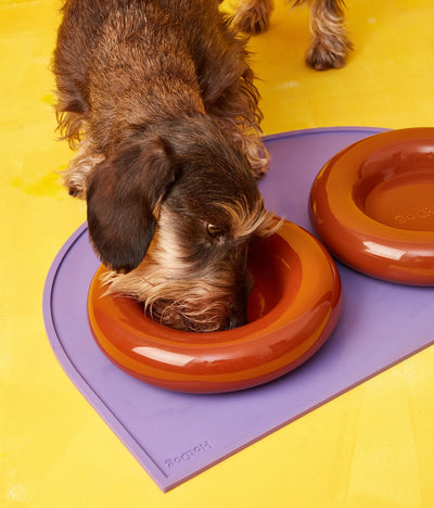 Brown ceramic bowl