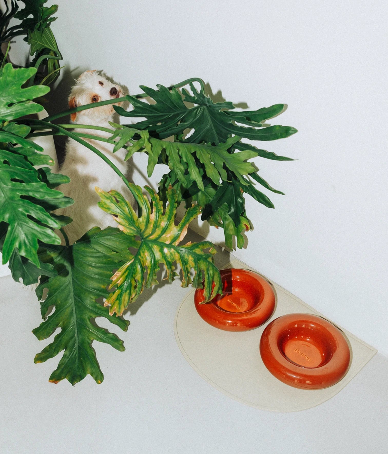 Brown ceramic bowl