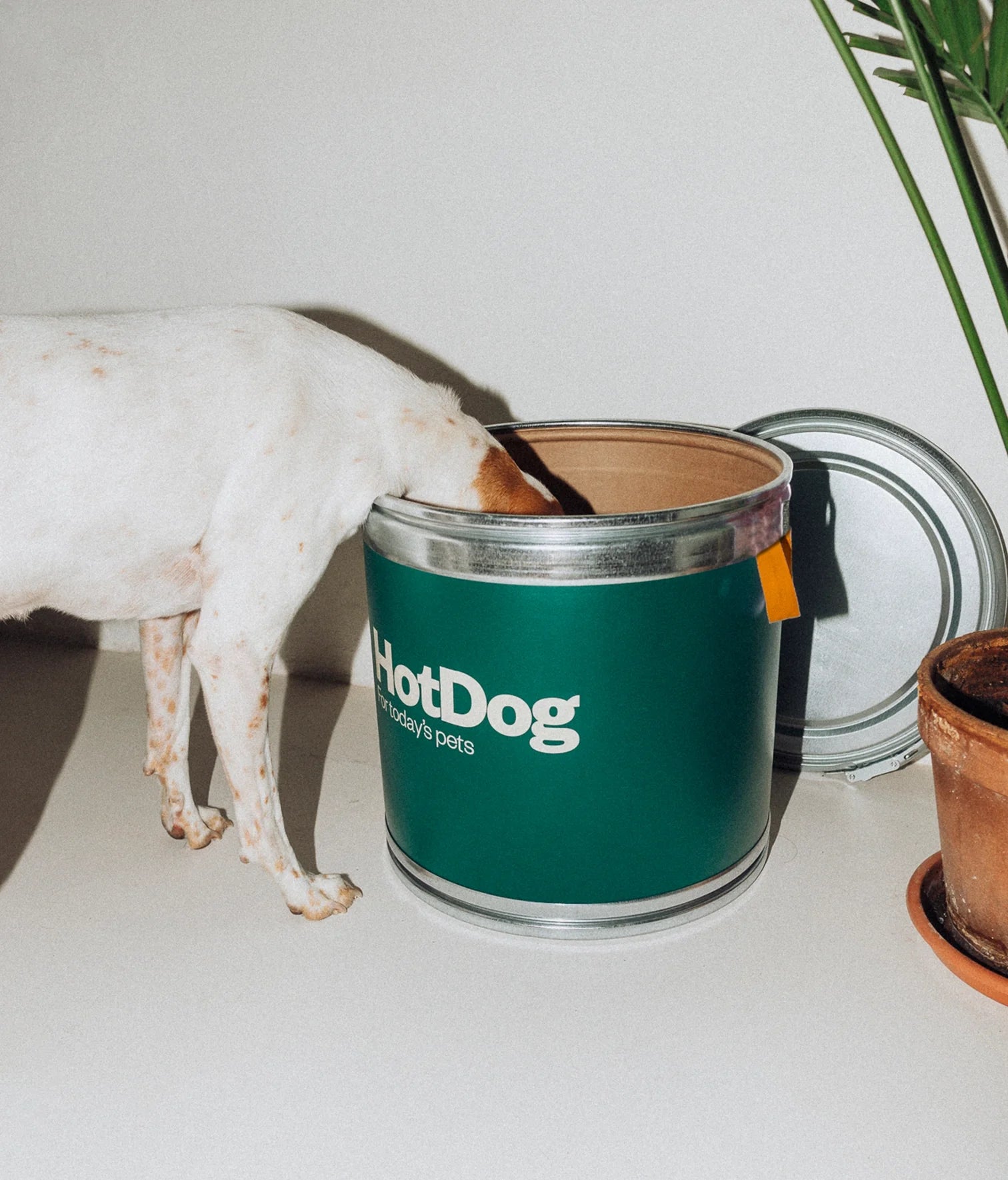 Food canister