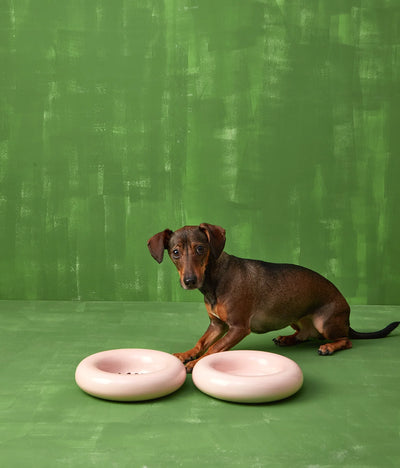 Pink ceramic bowl