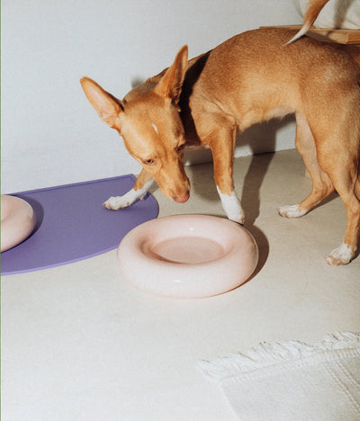 Pink ceramic bowl