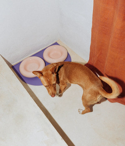Pink ceramic bowl