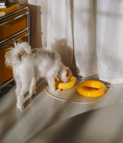 Yellow ceramic bowl