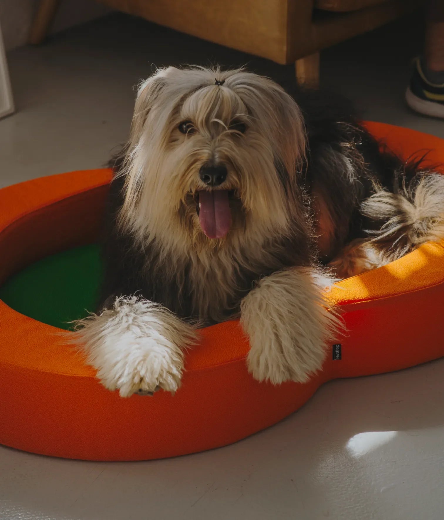 Viscoelastic bed orange and green