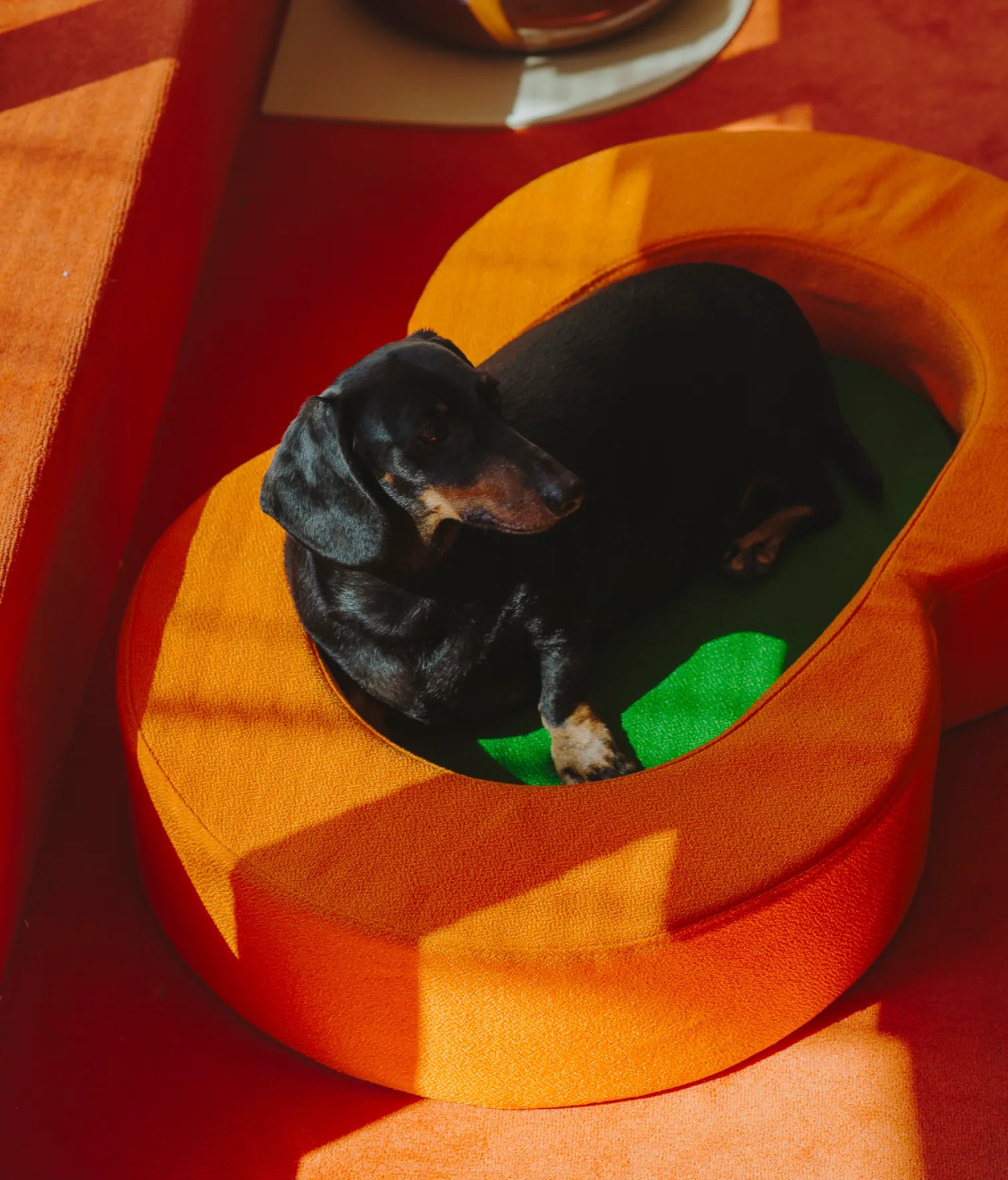 Viscoelastic bed orange and green