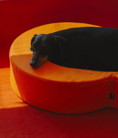 Viscoelastic bed orange and green