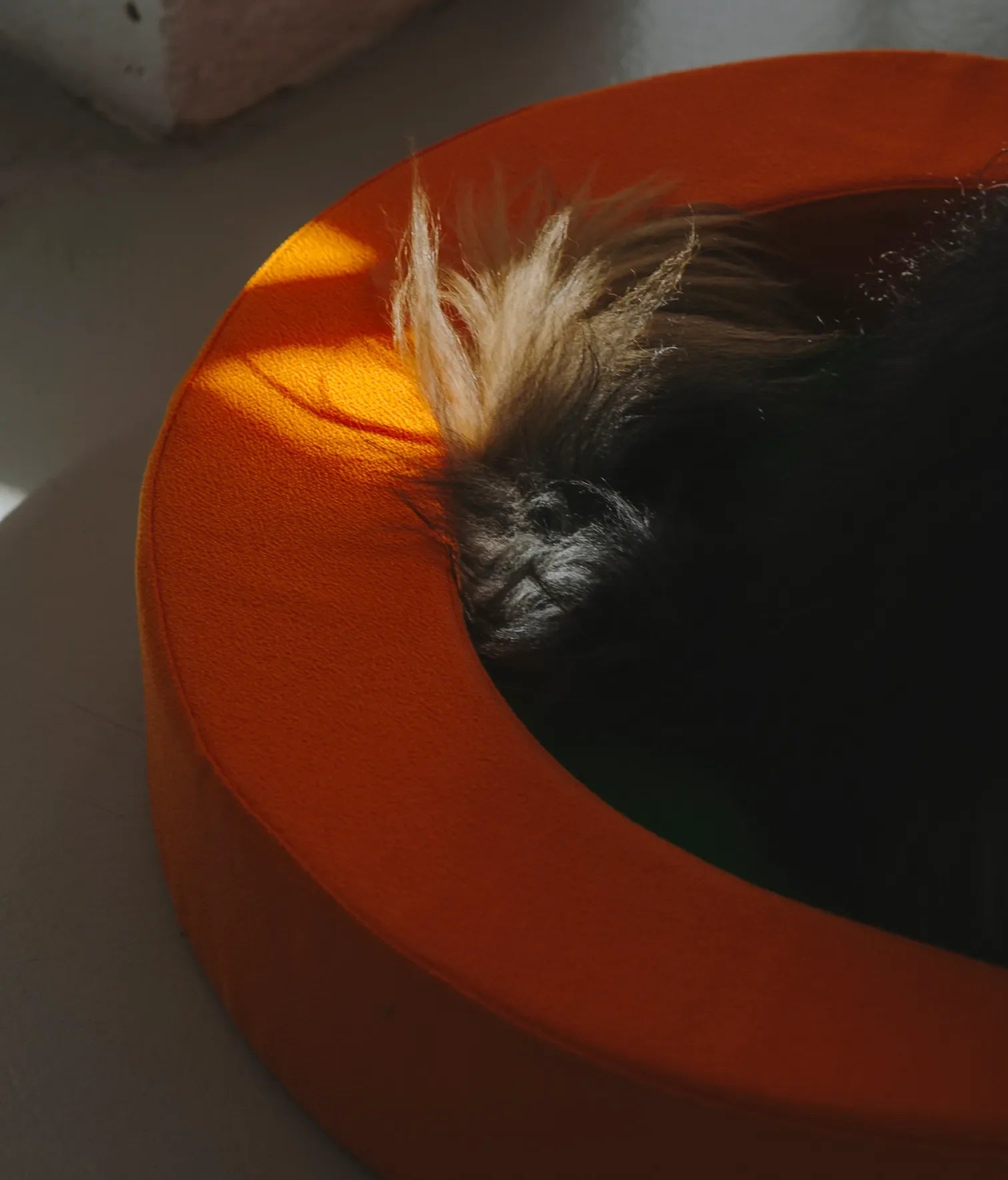 Viscoelastic bed orange and green