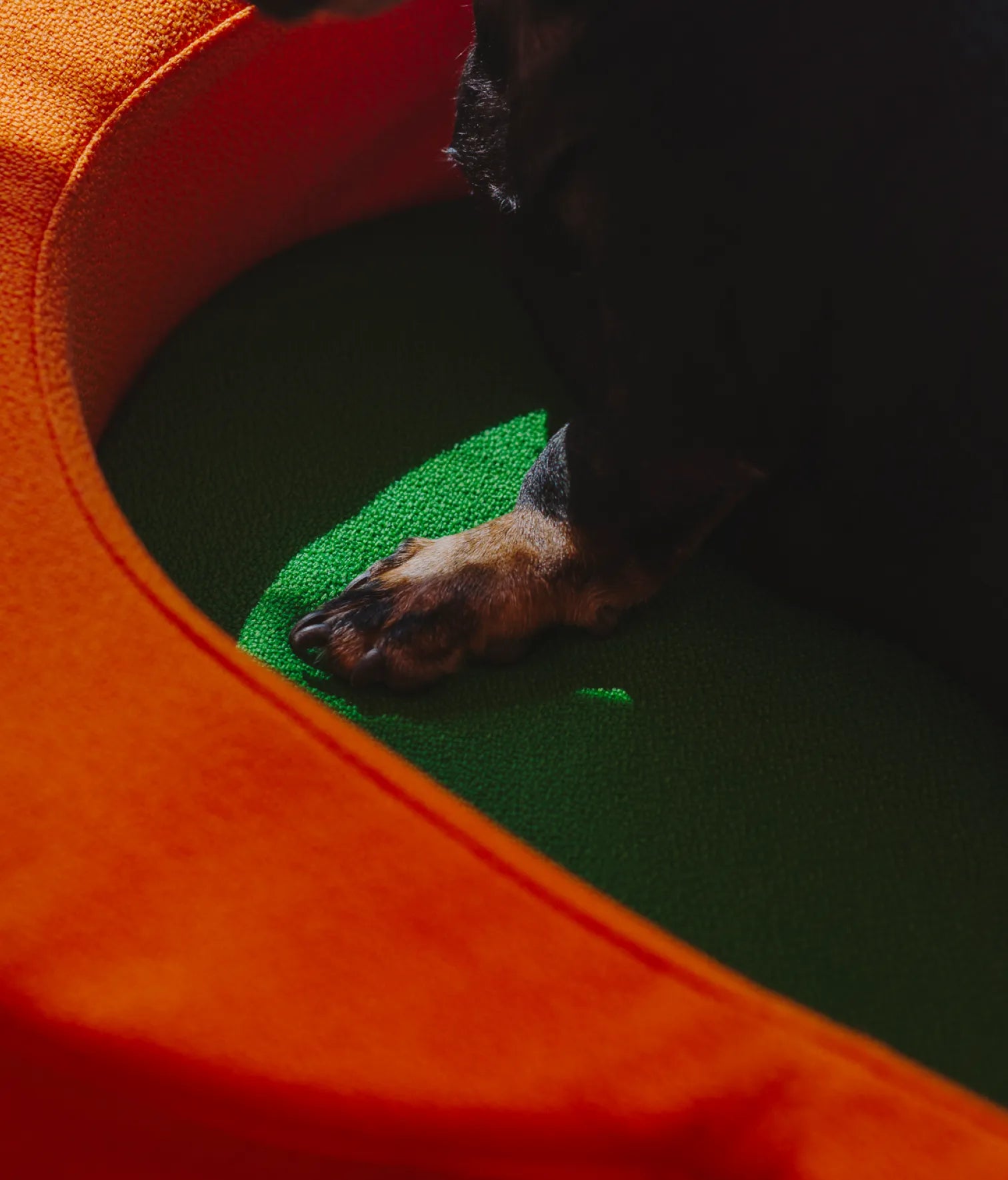 Viscoelastic bed orange and green