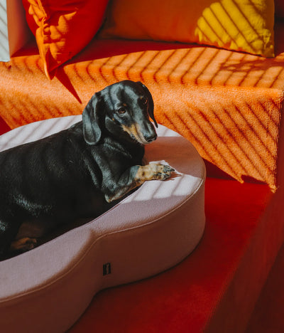 Viscoelastic bed pink and brown
