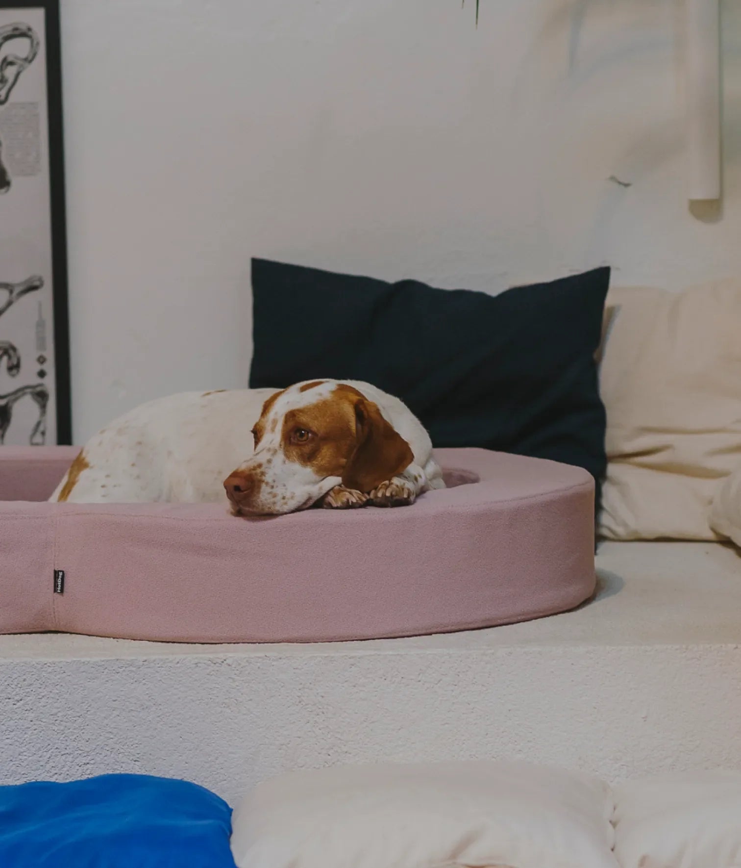 Viscoelastic bed pink and brown