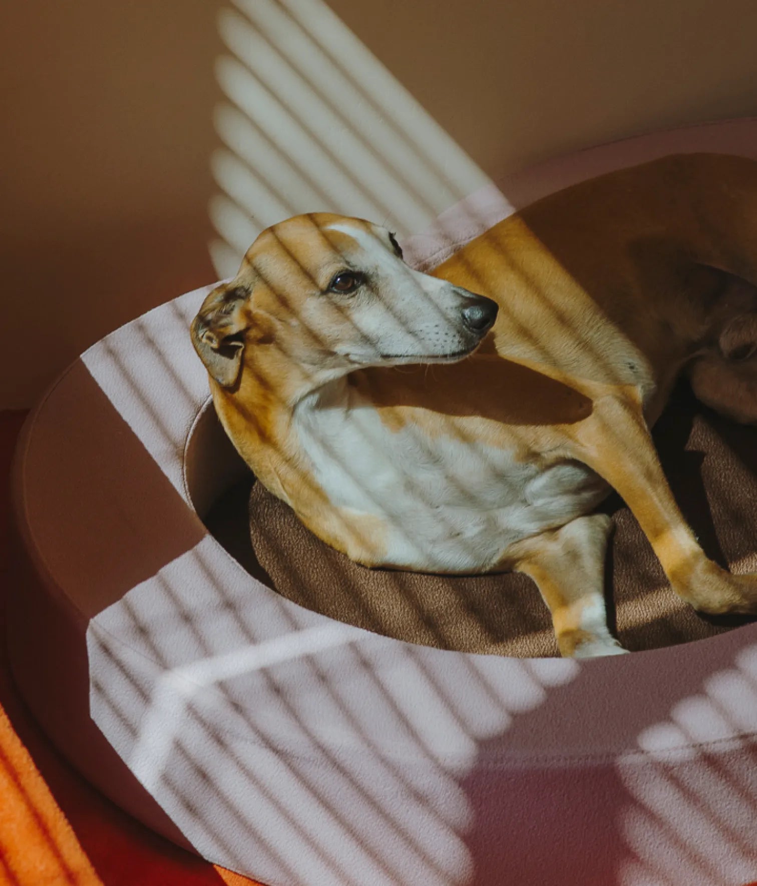 Viscoelastic bed pink and brown