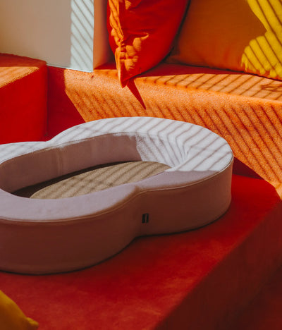 Viscoelastic bed pink and brown