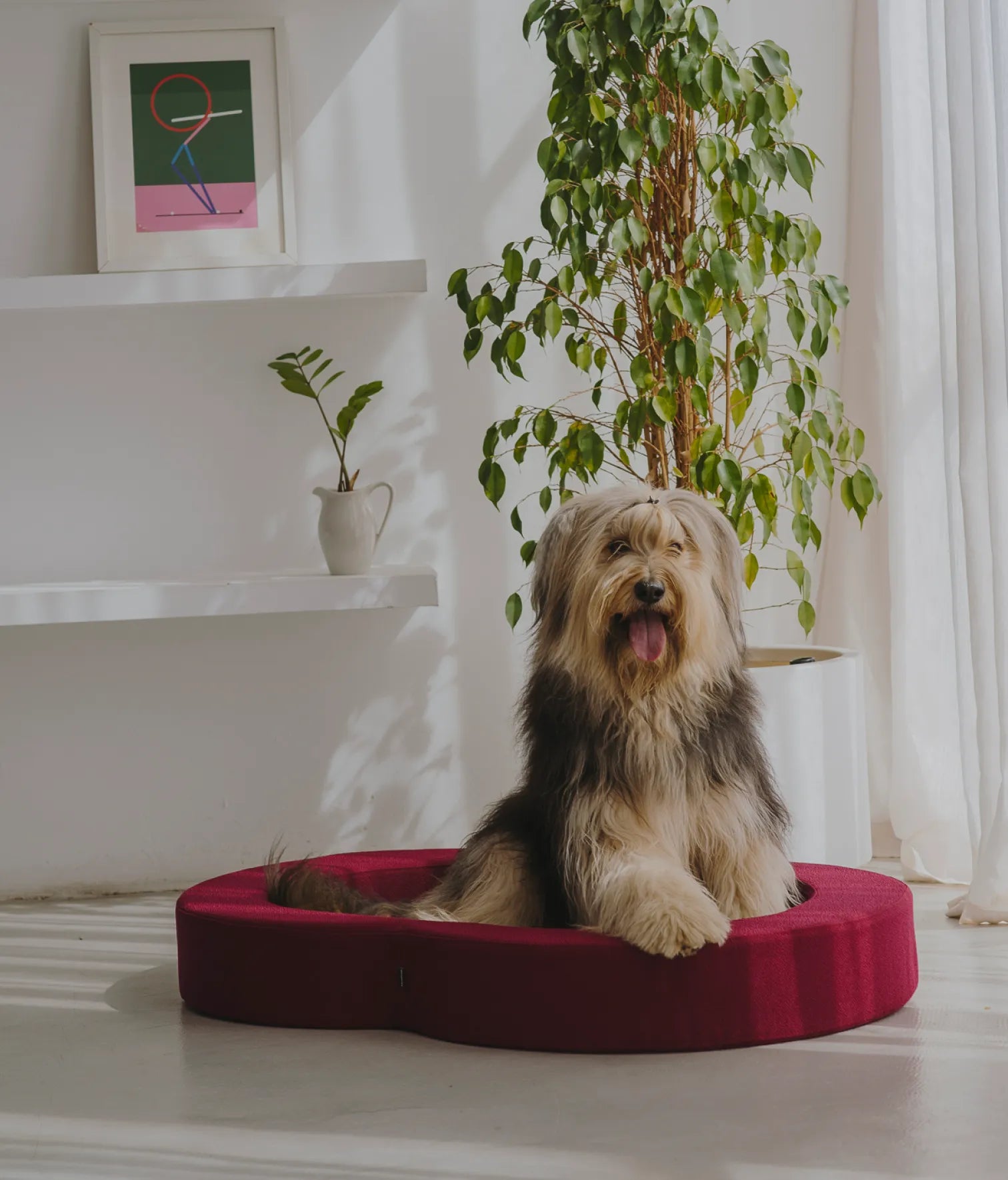 Viscoelastic bed maroon and blue