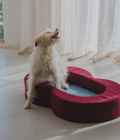 Viscoelastic bed maroon and blue