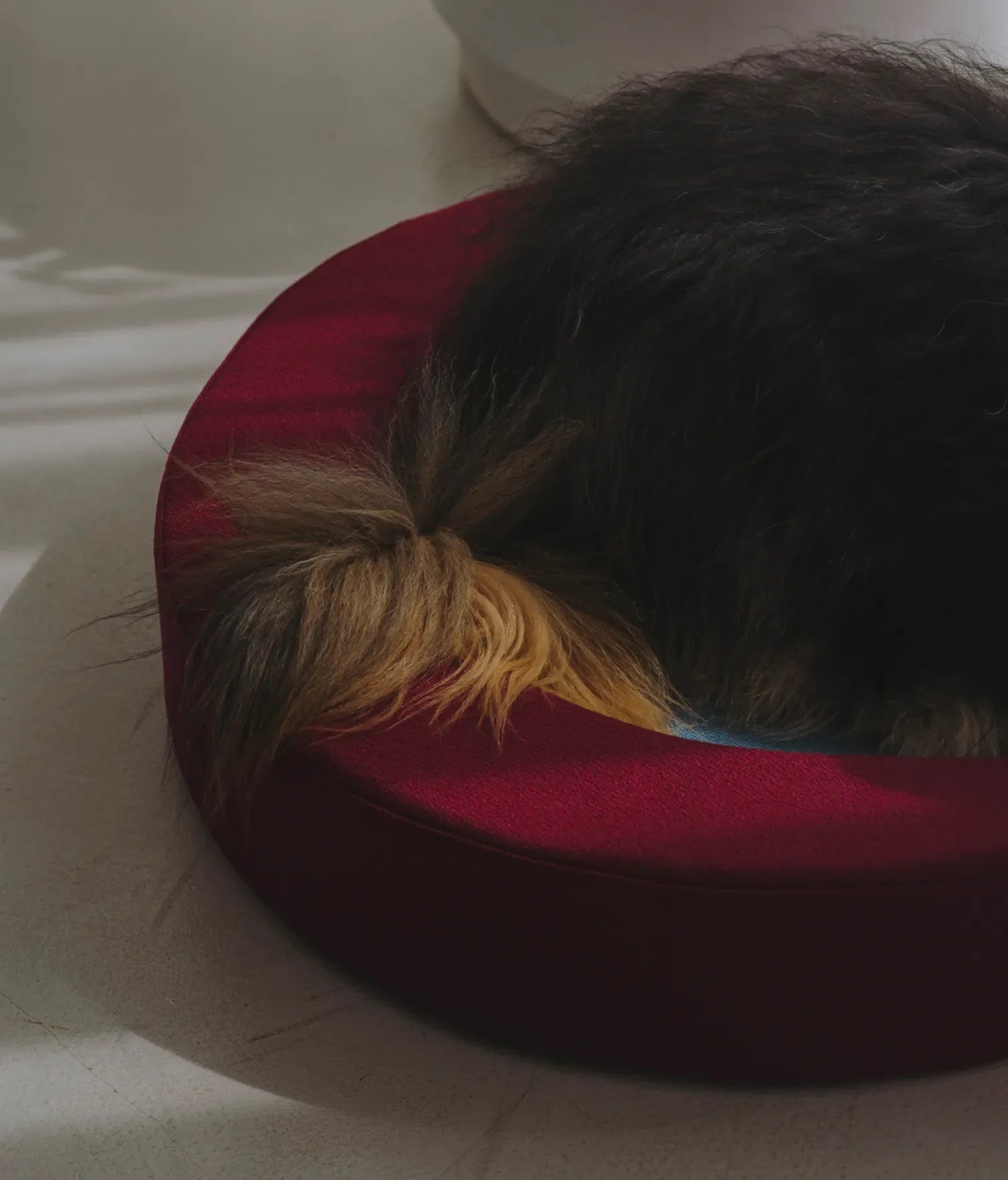 Viscoelastic bed maroon and blue