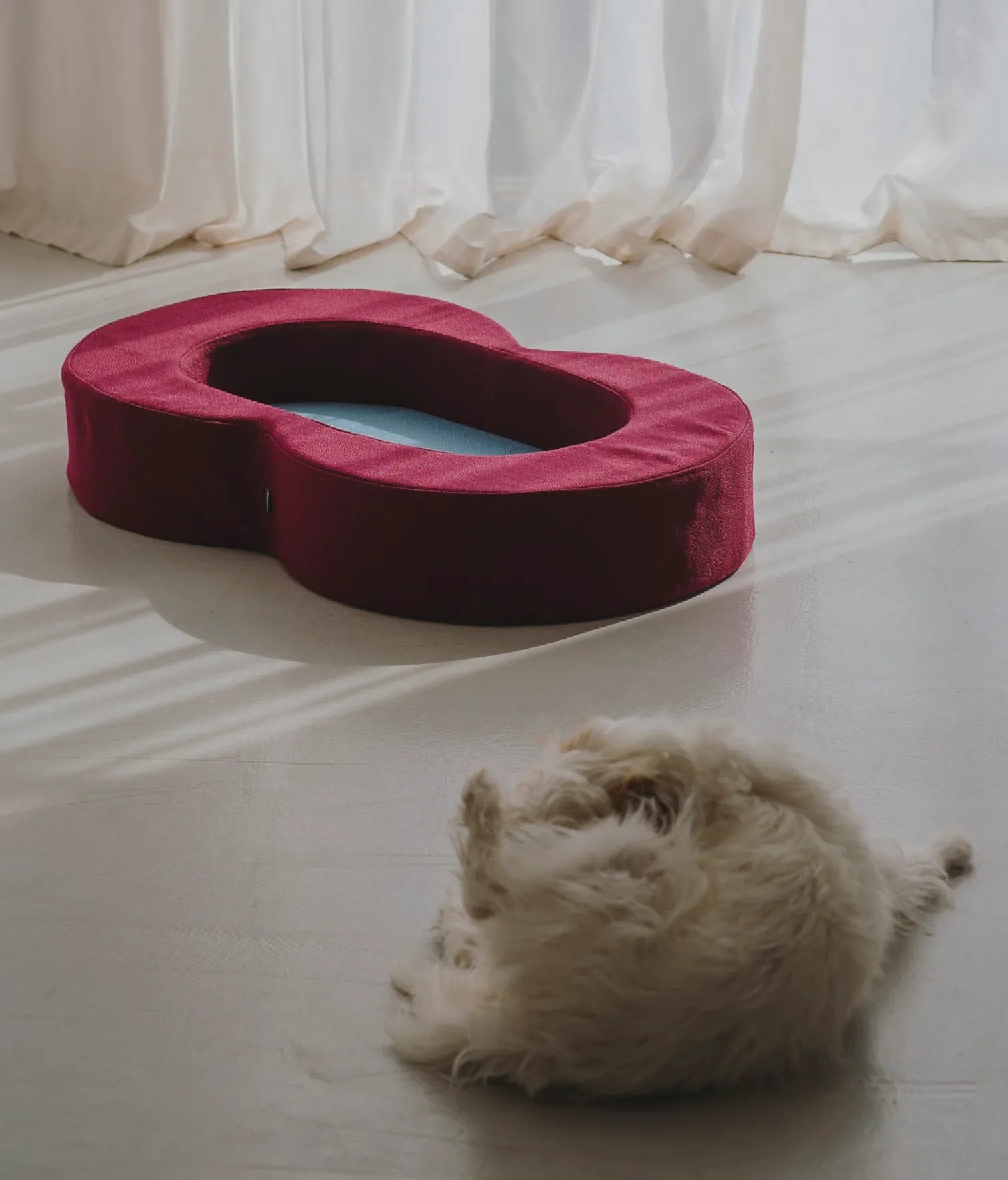 Viscoelastic bed maroon and blue