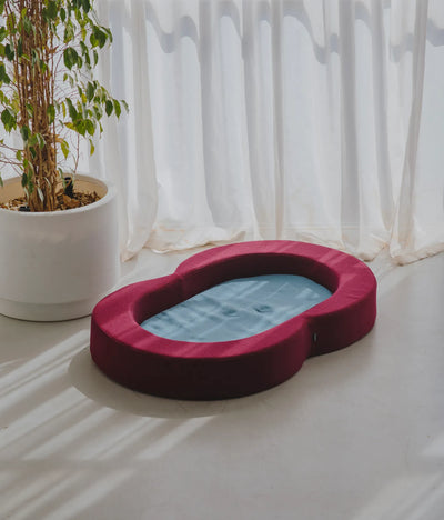 Viscoelastic bed maroon and blue