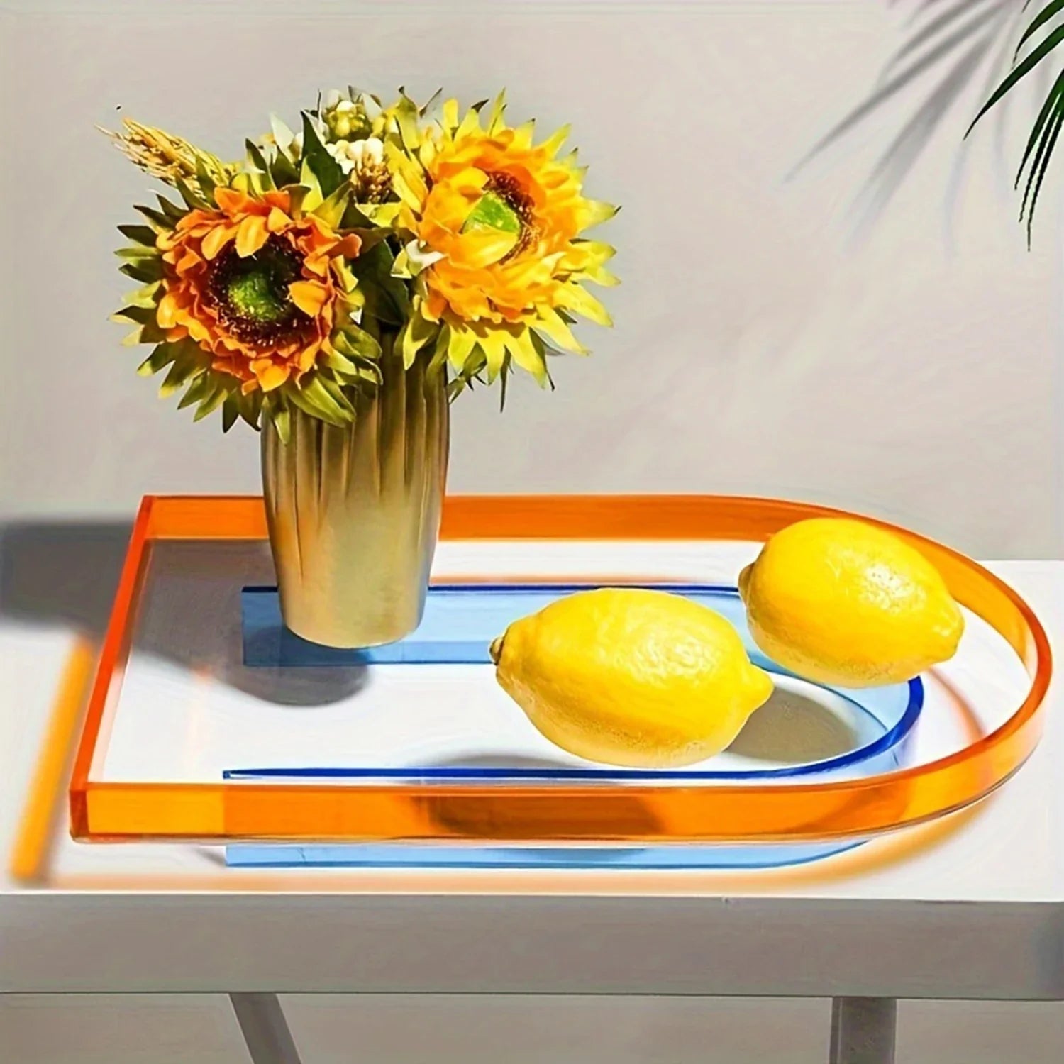 Acrylic Retro Art Tray - Color Mixing Plate