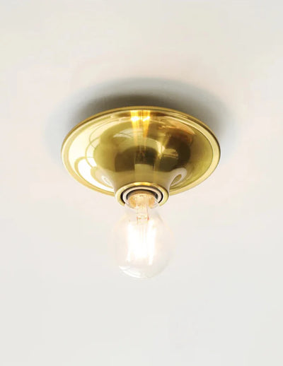 Industrial Wall Ceiling Lamp - Vintage Metal Frame Light